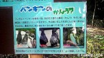 ペンギンヒルズのサイン