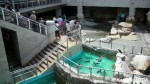 長崎ペンギン水族館の「餌やり体験」