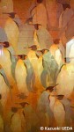 長崎ペンギン水族館「資料展示室」