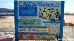 長崎ペンギン水族館