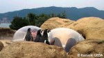 海響館「ペンギン村」の教育・普及活動