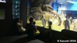 下関水族館=海響館「ペンギン村」