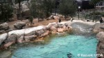 下関水族館=海響館「ペンギン村」