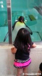 福岡市動植物園のキングペンギンたち