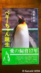 ペギーちゃん誕生：ペンギンを育てる