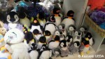 オモチャ屋さんのペンギンたち