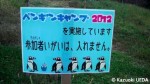 ペンギンキャンプ 2012 inペンギンヒルズ報告〜その２〜