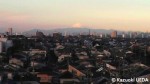 元旦の富士山