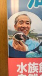 ペンギン長崎の海を飛ぶ！