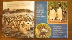 NATIONAL GEOGRAPHIC Little kids Meet Penguins