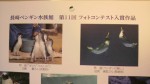 長崎ペンギン水族館特製「2013年カレンダー」