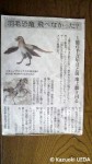 ２月１日朝日新聞夕刊に掲載された「羽毛恐竜」に関する記事