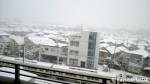 2013年01月 関東の雪