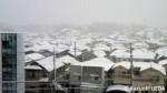 2013年01月 関東の雪