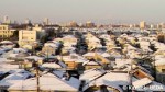 2013年01月 関東の雪