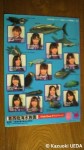 ＡＫＢ48と葛西臨海水族園とのコラボクリアファイル