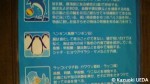 水族館限定自由帳