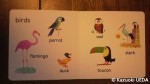 My first book of ANIMALS