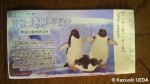 南極・北極ガチャガチャ