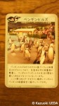 埼玉県こども自然動物公園「ペンギンヒルズ」限定「ペンギンカード」セット