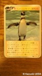 埼玉県こども自然動物公園「ペンギンヒルズ」限定「ペンギンカード」セット