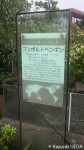 熊本市動物園の新しいペンギン展示