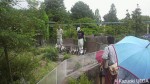 熊本市動物園の新しいペンギン展示