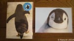 やっと今年の「夏ペンギン葉書」をゲットしました(^○^)!!
