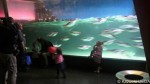 オーストラリア報告〜その３〜メルボルン水族館2013