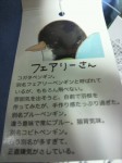 むらペン様から「サンレモンさんのフェアリーペンギン」の映像と情報をいただきました(^○^)!!