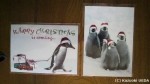 妻がゲットした今年のクリスマス・ペンギンカードです(^○^)!!