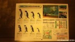 これが「2014年版長崎ペンギン水族館カレンダー」です(^○^)!!