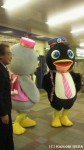 ペンギンかすってるキャラクター=シンちゃん・ケイちゃんの着ぐるみに初めて出会いました(^○^)!!