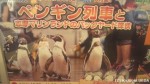 近鉄沿線の駅で出会った「ペンギン列車」ポスターです(^○^)!!