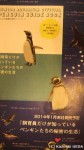 すみだ水族館公認「ペンギンガイドブック」=『飼育員だけが知っているペンギンたちの秘密の生活』(文踊社、価格1050円)は１月末日に発売予定だそうです(^○^)!!