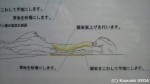 やっぱり葛西は工事中でした…が…キングペンギンの名前が「リク」に決まったのを初めて実感しました(^○^)!!