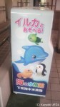 久々の「ペンギンゴミ箱」です(^○^)!!