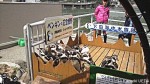下田海中水族館の「ペンギンと記念撮影」と「ペンギンのお散歩」です(^○^)!!