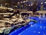 いつもお世話になっております株式会社ヴァイスヴァーサの平川様から「すみだ水族館レポート」をいただきました(^○^)!!