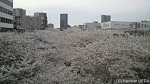 中目黒駅から満開の目黒川の桜を見ました(^○^)!!