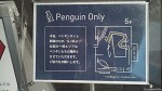 すみだ水族館ではマゼランペンギンたちのお散歩が始まりました(^○^)!!