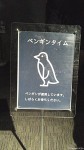 すみだ水族館ではマゼランペンギンたちのお散歩が始まりました(^○^)!!