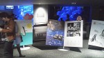 『飼育員だけが知っているペンギンたちの秘密の生活』(中田啓子 著、文踊社発行、2014年１月31日)はすみだ水族館の公式ガイドブックです(^○^)!!