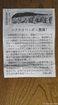 ７月３日の朝日新聞にもエンペラーペンギン減少予測の記事が掲載されました!!