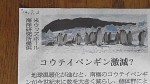 ７月３日の朝日新聞にもエンペラーペンギン減少予測の記事が掲載されました!!