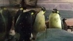 Ｙ様から名古屋港水族館のペンギン情報をいただきました(^○^)!!