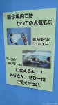 マリンピアクラブ・マリンピア松島水族館共催「2014年度第12回ペンギン教室」報告〜中編(その１)〜(^○^)!!