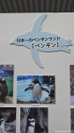 マリンピアクラブ・マリンピア松島水族館共催「2014年度第12回ペンギン教室」報告〜中編(その２)〜(^○^)!!