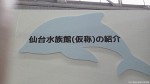 マリンピアクラブ・マリンピア松島水族館共催「2014年度第12回ペンギン教室」報告〜中編(その２)〜(^○^)!!