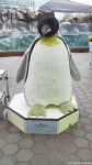 マリンピアクラブ・マリンピア松島水族館共催「2014年度第12回ペンギン教室」実施報告〜後編その２(最終回)〜(^○^)!!